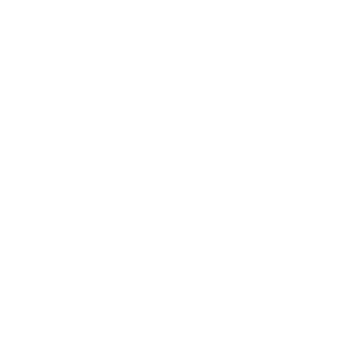 ticketwhiz napkinads logotype